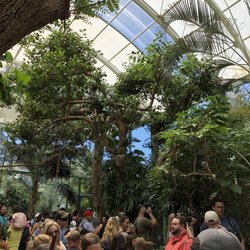 Butterfly Jungle - Completely packed with people