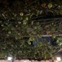 Photo of Restaurante Albissa