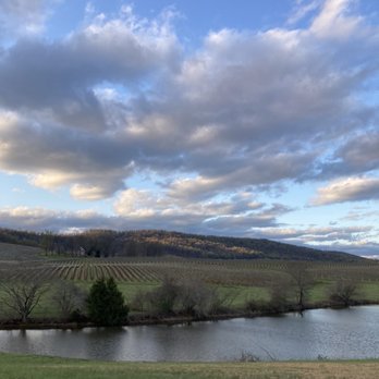 Albemarle Estate - Views - Hotels Near Me - Charlottesville, Virginia