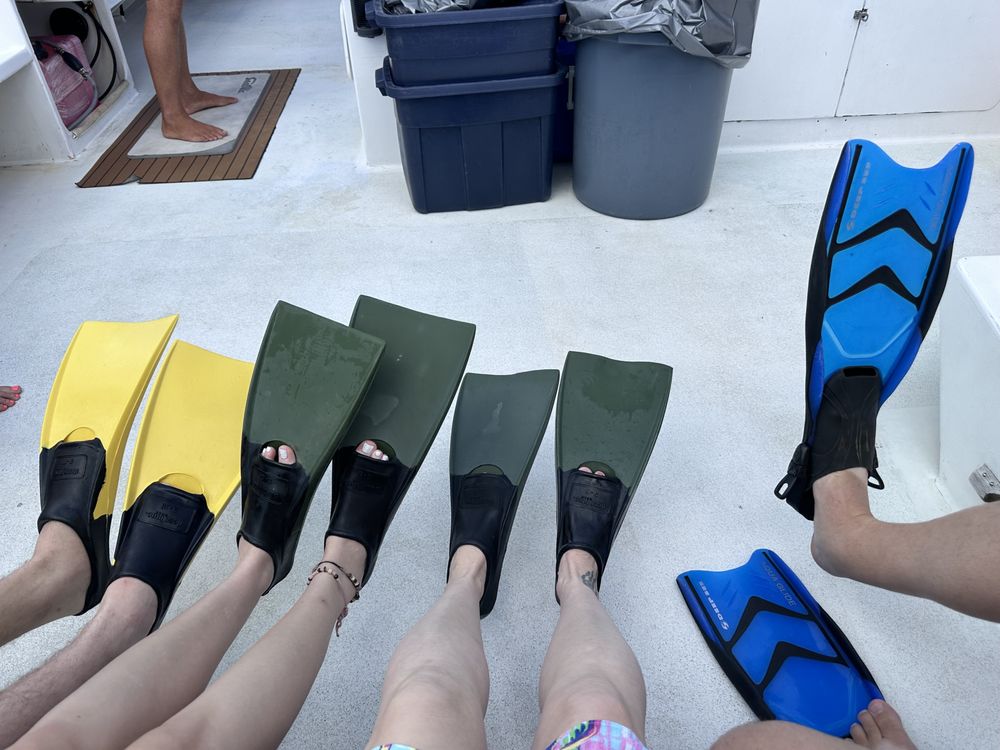 Big Beard's Adventure Tours Logo