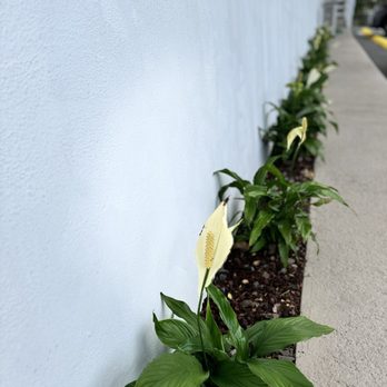 Pacific Coastline Landscape Design - Masonry/Concrete Near Me Pacific Coastline Landscape Design - Masonry/Concrete Near Me