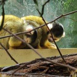 Zoo Schwerin