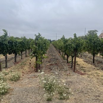 Vinarosa Resort & Spa - Hotels Near Me - Santa Rosa, California Vinarosa Resort & Spa - Hotels Near Me - Santa Rosa, California
