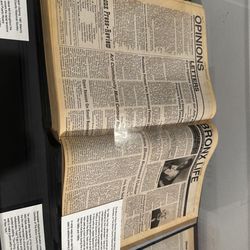Bronx Museum of the Arts