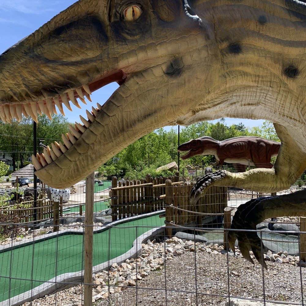 a raptor with its mouth open a raptor with its mouth open