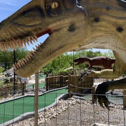 a raptor with its mouth open