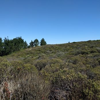 Sweeney Ridge - Parks Near Me - San Bruno, California
