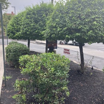 Wendy's - a street corner with trees and bushes - Fast Food Near Me - Bronx, New York