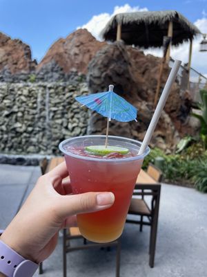 Trader Sam's Tiki Terrace by null