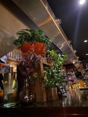 Mesa Coyoacan by null