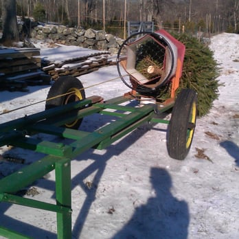 Ebenezer's Tree Farm - Christmas Trees Near Me - Foster, Rhode Island