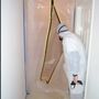 Advanced Drying and Cleaning Technology