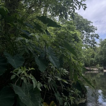Rio Vista Park - Parks Near Me - San Marcos, Texas