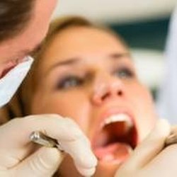 Roger M Anderson, DDS MS - Untitled