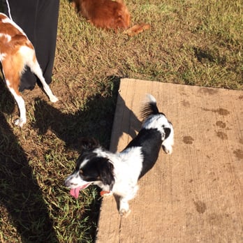 Edmond Dog Park - Dog Parks Near Me - Edmond, Oklahoma Edmond Dog Park - Dog Parks Near Me - Edmond, Oklahoma