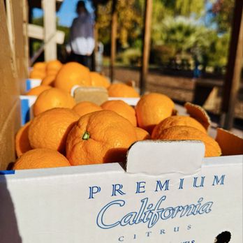 MARTYNSE FAMILY FARM - Delicious. - Farmers Market Near Me - Penryn, California MARTYNSE FAMILY FARM - Delicious. - Farmers Market Near Me - Penryn, California