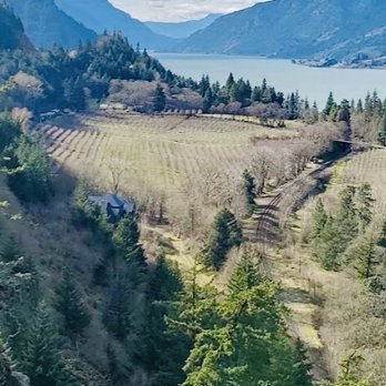 Ruthton County Park - View in early soring - Parks Near Me - Hood River, Oregon