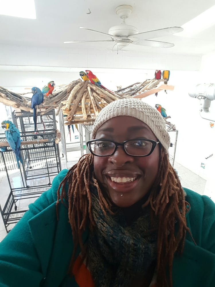 THE WILSON PARROT 26613 Ridge Rd, Damascus, Maryland Animal Shelters Phone Number Yelp