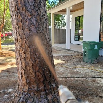 Arborist On Demand - Tree Services Near Me