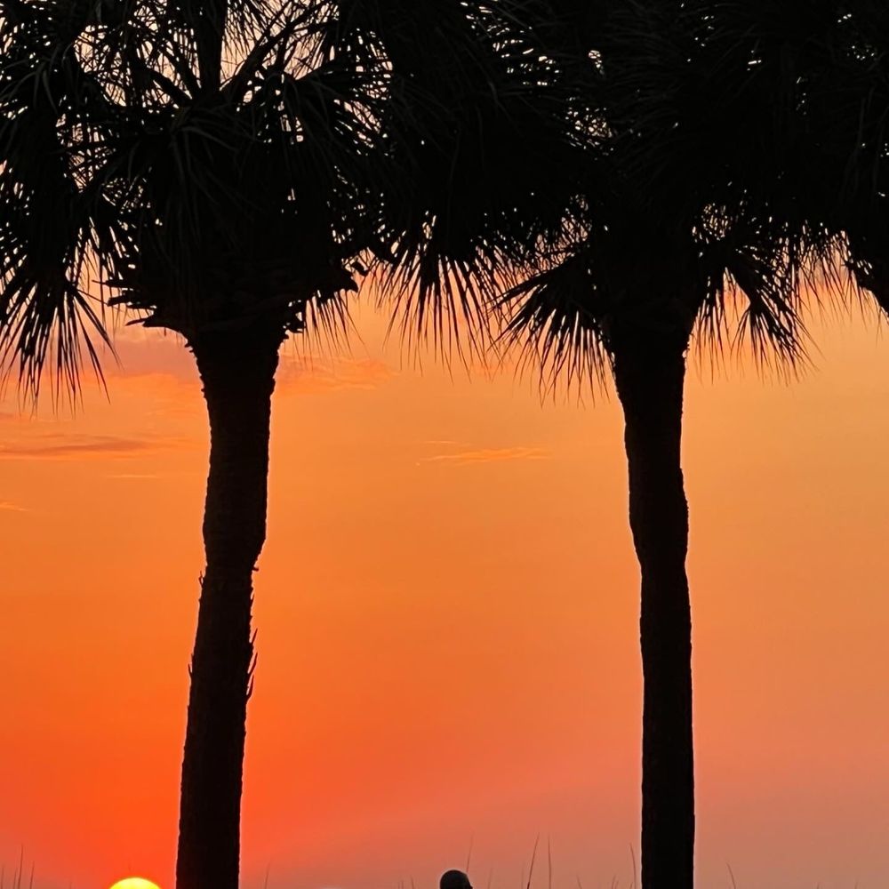 The Don CeSar - Resorts Near Me - St. Pete Beach, Florida
