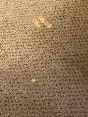 Alexander's Lodge At Mt Rainier by null