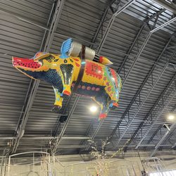 Cayuse Vineyards Production Studio - The flying pig