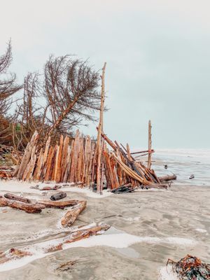 Cape Disappointment State Park by null