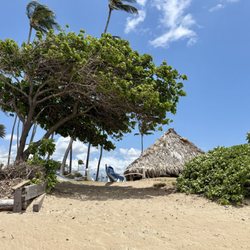 Hoaloha Park