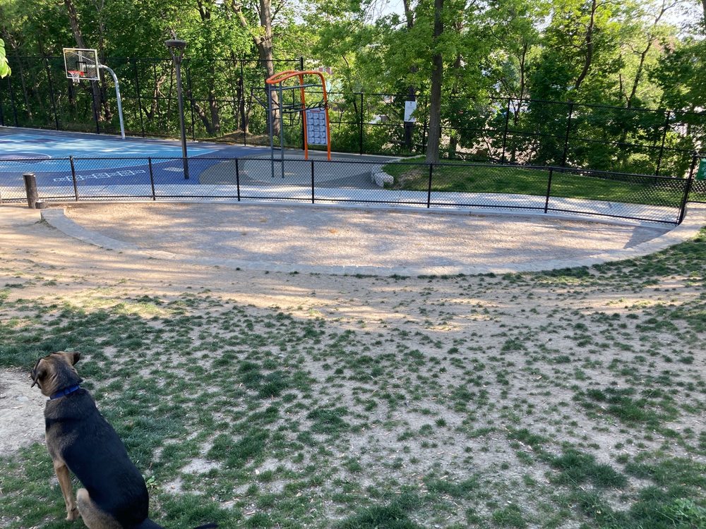 DOWNER DOG PARK 55 Downer Ave, Boston, MA Yelp