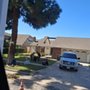 Orange County Tree Services