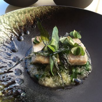 Bennelong Restaurant - Main: steamed murrumbidgee cod with sea scallop, water spinach, nori, ginger and garlic chive congee - Bars Near Me - Sydney, NSW Bennelong Restaurant - Main: steamed murrumbidgee cod with sea scallop, water spinach, nori, ginger and garlic chive congee - Bars Near Me - Sydney, NSW