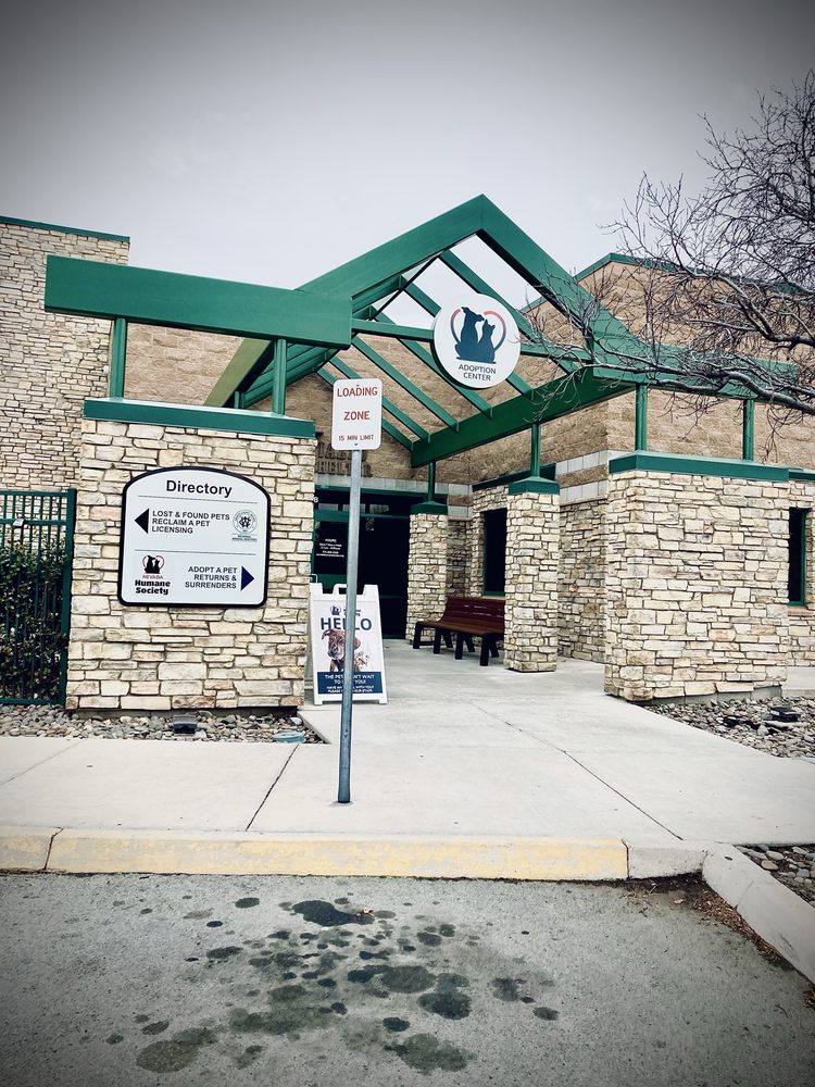 NEVADA HUMANE SOCIETY Updated October 2025 211 Photos & 158 Reviews