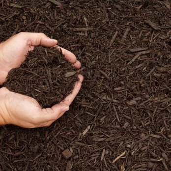 St Johns Landscape - a person holding a handful of soil in their hands - Lawn Services Near Me - Saint Augustine, Florida