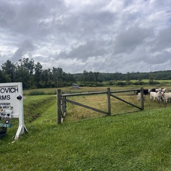 Radisovich Farms - Meat Shops Near Me Radisovich Farms - Meat Shops Near Me