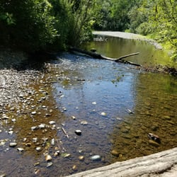 Wallace Swamp Creek Park - Creek.