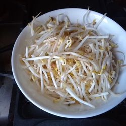 Growing Farm - All these bean sprouts for $1