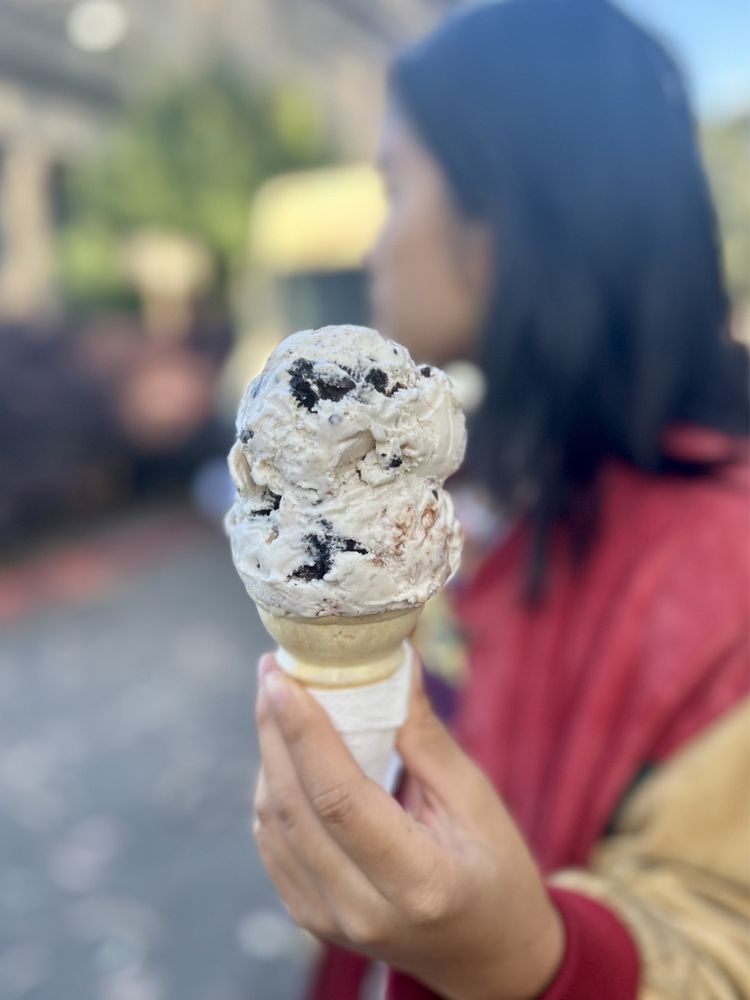 TWIRL AND DIP Updated September 2024 308 Photos & 292 Reviews 335