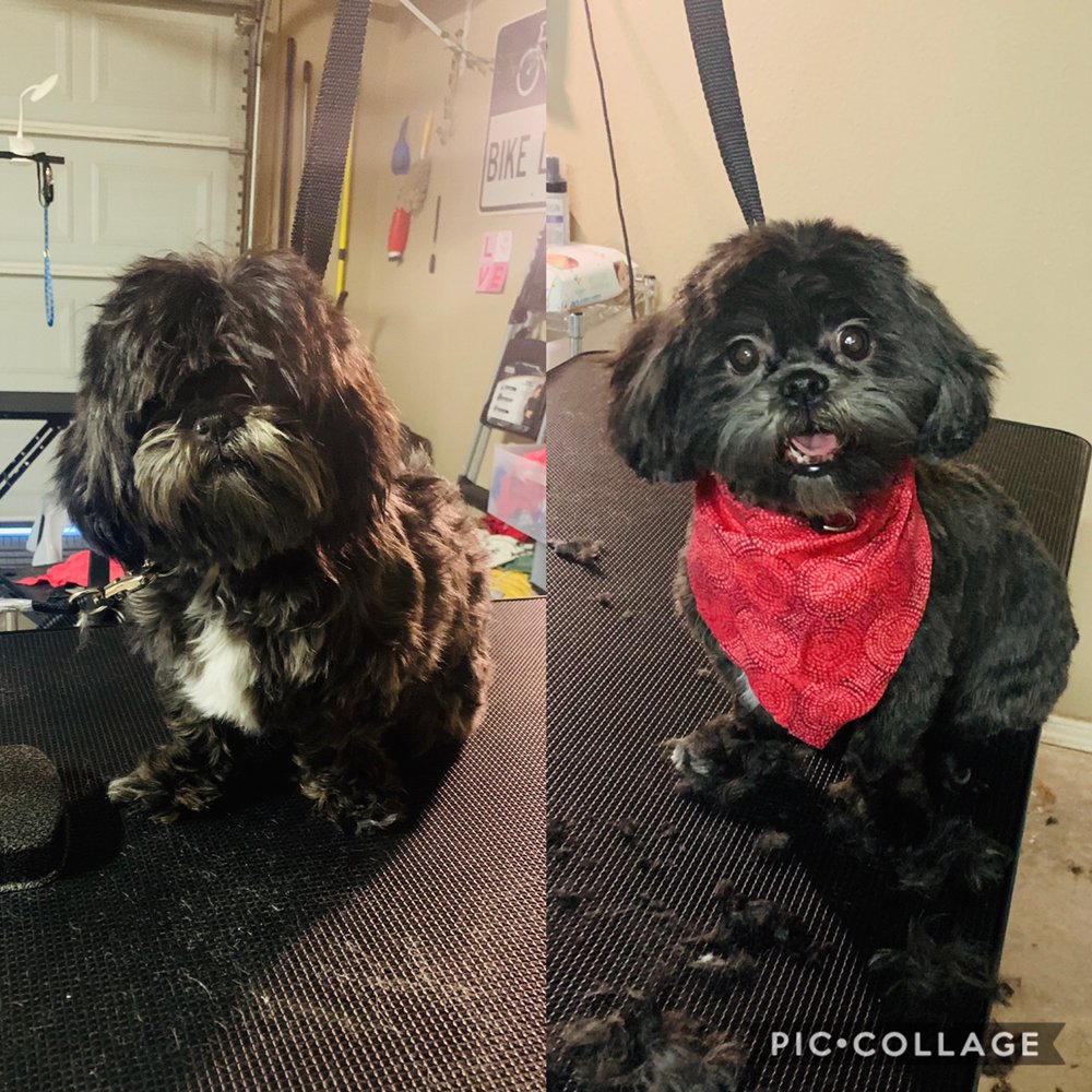 JOCELYN’S GARAGE GROOMING 21 Photos 1892 Bentley Dr, Las Cruces