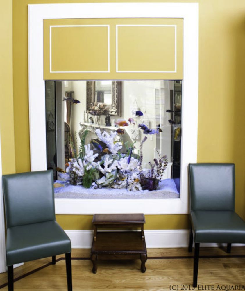 ELITE AQUARIA Updated October 2024 10 Photos 263 Tresser Blvd