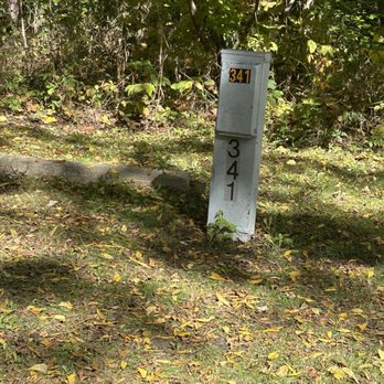 Pokagon State Park - Another campsite where the walnut hulls were damaging vehicles and campers. - Parks Near Me - Angola, Indiana Pokagon State Park - Another campsite where the walnut hulls were damaging vehicles and campers. - Parks Near Me - Angola, Indiana