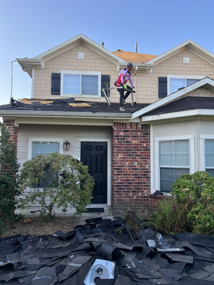 Slide of Roof Bullies