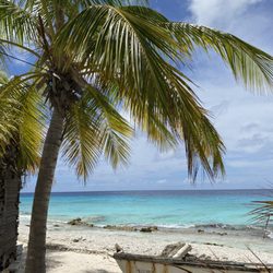 Diventures - Shop trip to Bonaire