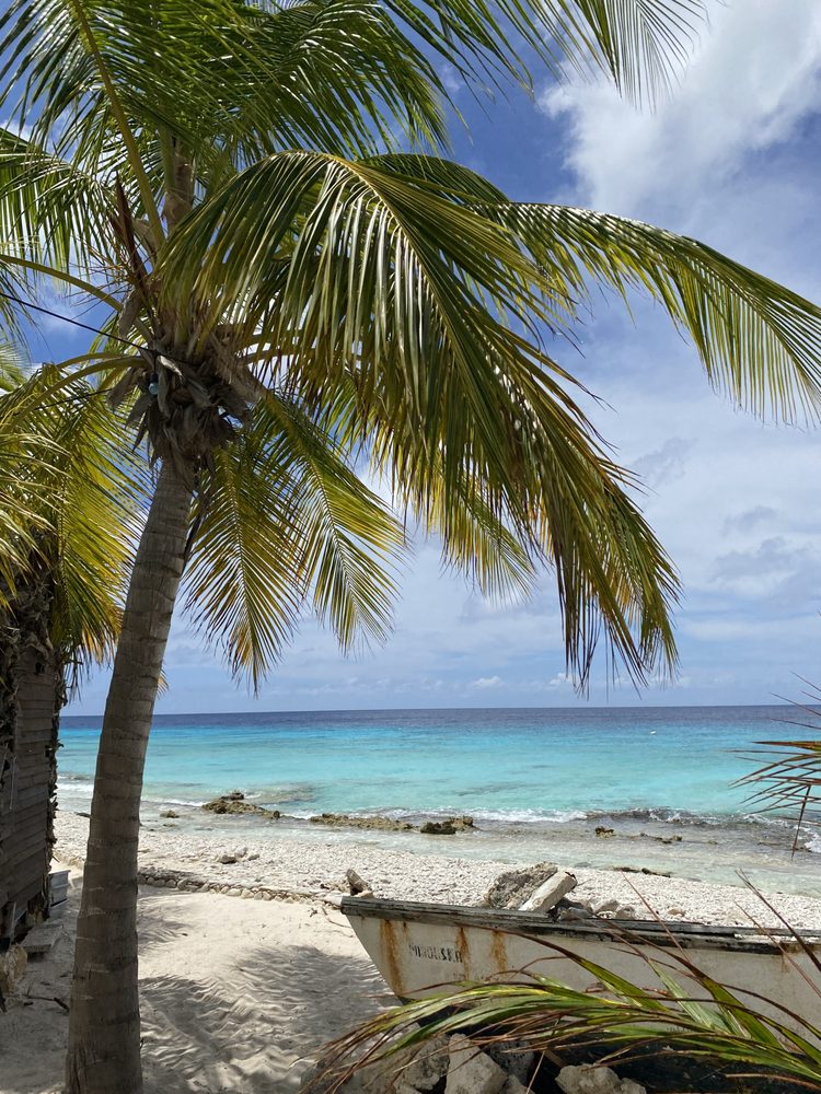 DIVENTURES - Updated November 2025 - 1173 NE Rice Rd, Lees Summit ...