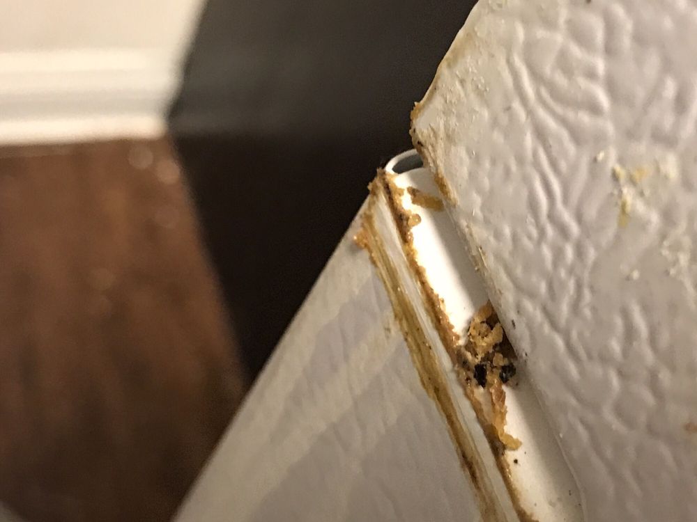 NELLIS GARDEN APARTMENTS Updated October 2024 4255 N Nellis Blvd