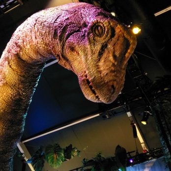 Field Museum - Museums Near Me - Chicago, Illinois