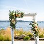 Sublime Stems
