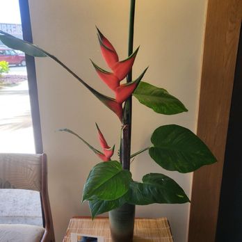 MOA Hawaii - Ikebana for the spirit. - Massage Therapy Near Me - Honolulu, Hawaii MOA Hawaii - Ikebana for the spirit. - Massage Therapy Near Me - Honolulu, Hawaii