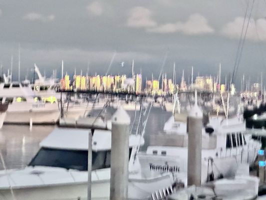 Eppig Brewing Co. Waterfront Biergarten by null