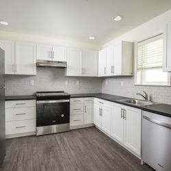 Oak Tree Apartments