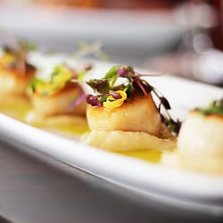 Farina pizzeria - Keeno has a Scallop addiction.